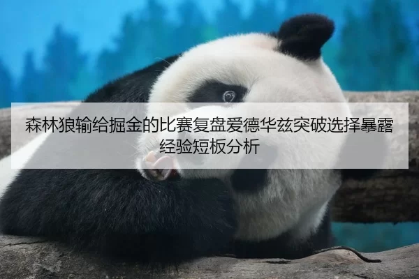 森林狼输给掘金的比赛复盘爱德华兹突破选择暴露经验短板分析