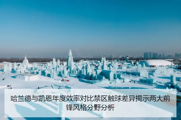 哈兰德与凯恩年度效率对比禁区触球差异揭示两大前锋风格分野分析