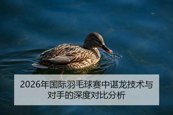 2026年国际羽毛球赛中谌龙技术与对手的深度对比分析