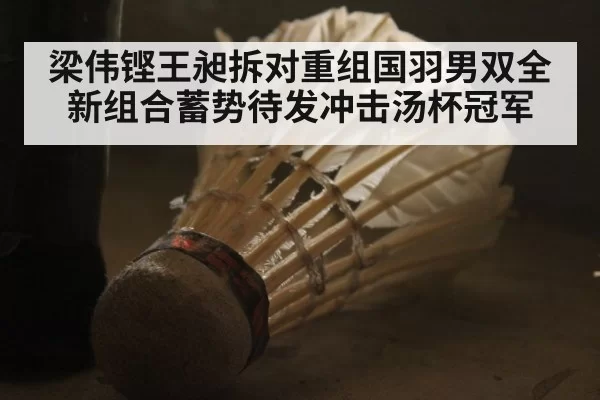 梁伟铿王昶拆对重组国羽男双全新组合蓄势待发冲击汤杯冠军