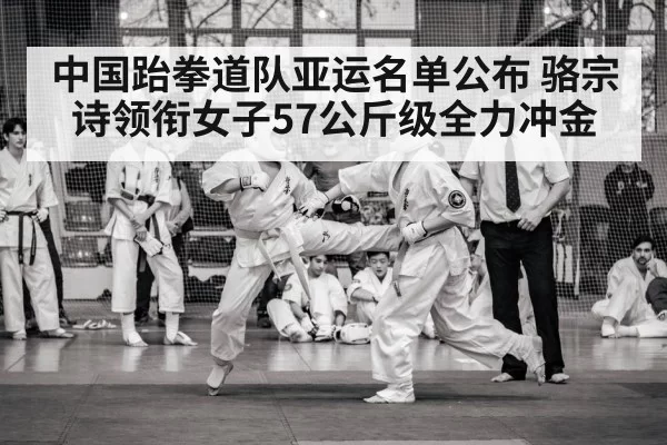 taekwondo arena match